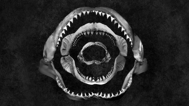 Backdrop from Shark Eat Shark