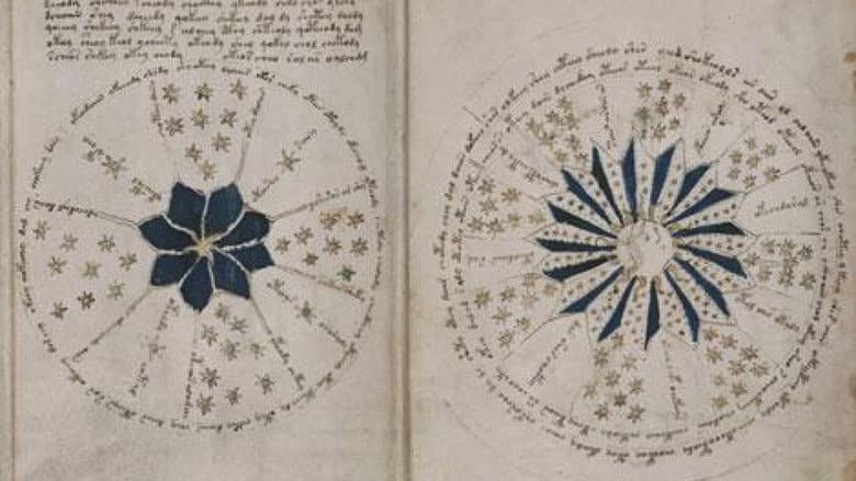 Backdrop from The Voynich Code: The World's Most Mysterious Manuscript