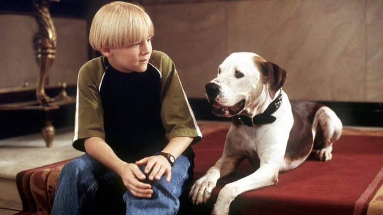 Backdrop from The Pooch and the Pauper
