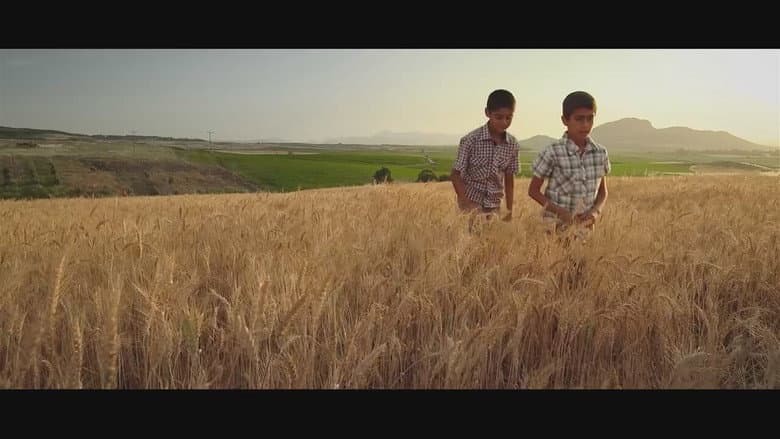 Backdrop from Biz Babasız Büyüdük