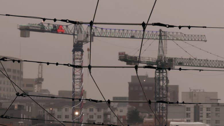 Backdrop from Sea of Cranes