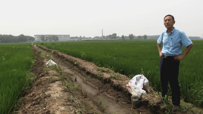 Backdrop from Letter from Masanjia