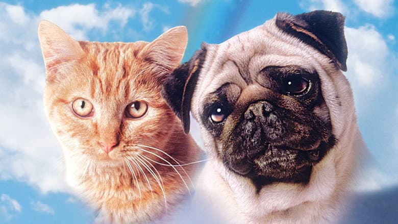 Backdrop from The Adventures of Milo and Otis