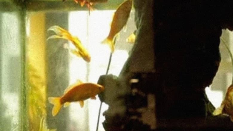 Backdrop from L’Aquarium et la Nation