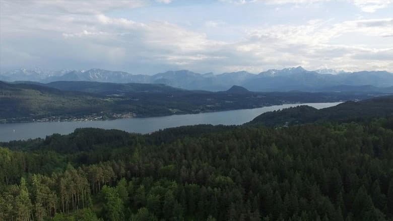 Backdrop from Sie singen nur für ihn