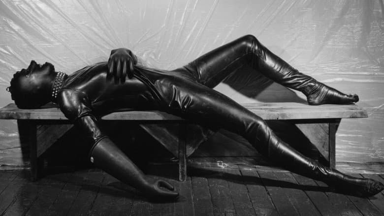 Backdrop from Mapplethorpe: Look at the Pictures