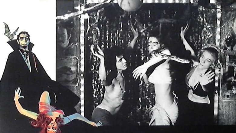 Backdrop from Guess What Happened to Count Dracula?