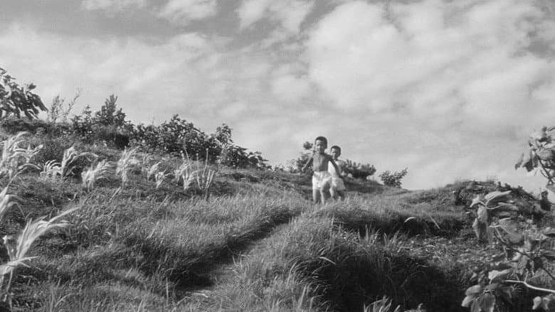 Backdrop from The Naked Island