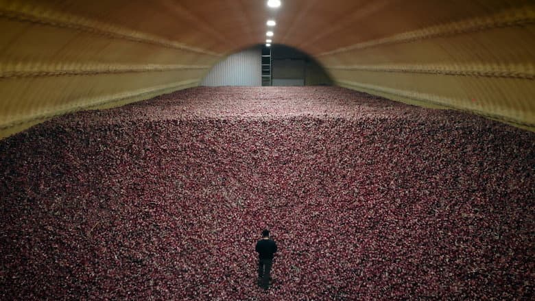 Кадр із фільму «Abundance: The Farmlink Story»
