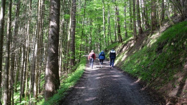 Backdrop from Walking: Miracle Cure for Body and Soul