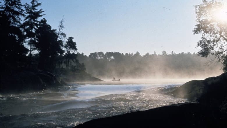 Backdrop from Path of the Paddle: Solo Basic