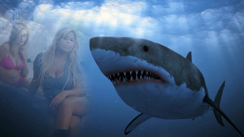 Backdrop from Shark Babes