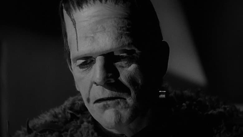 Backdrop from Son of Frankenstein