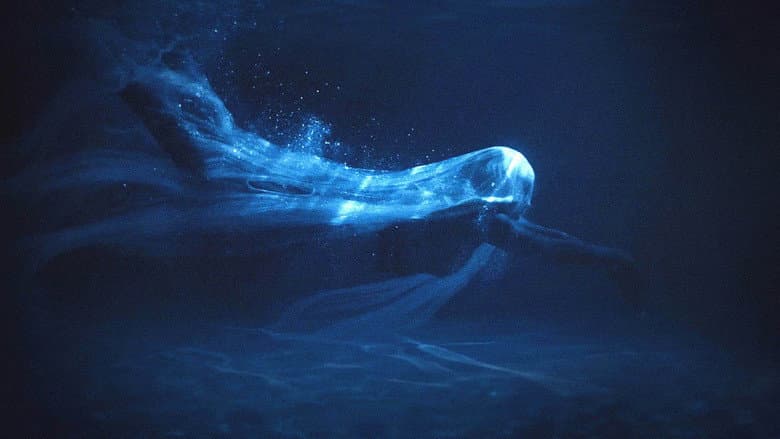 Backdrop from Water