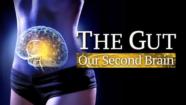 Backdrop from The Gut: Our Second Brain