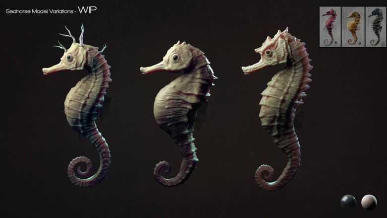 Backdrop from The Seahorse Trainer