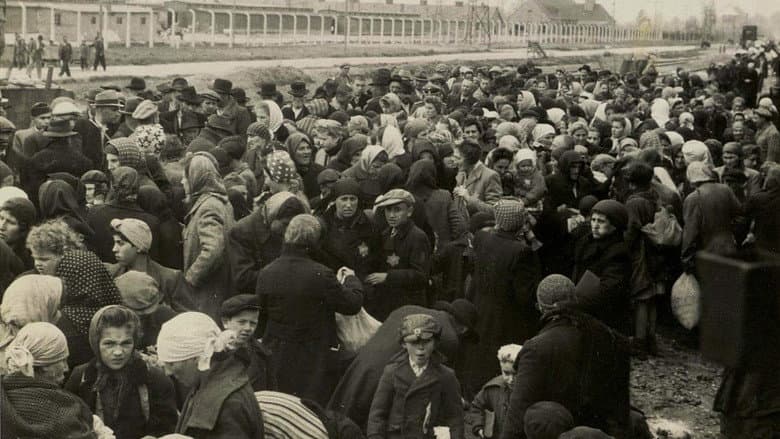 Backdrop from Auschwitz - One Day