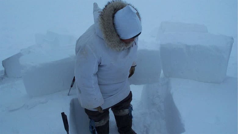 Backdrop from Inuuvunga: I Am Inuk, I Am Alive