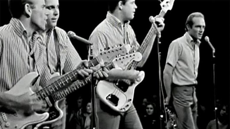 Backdrop from The Beach Boys: The Lost Concert