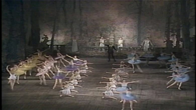 Backdrop from Don Quixote (Kirov Ballet)