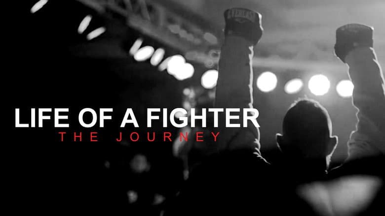 Backdrop from Life of a Fighter: The Journey