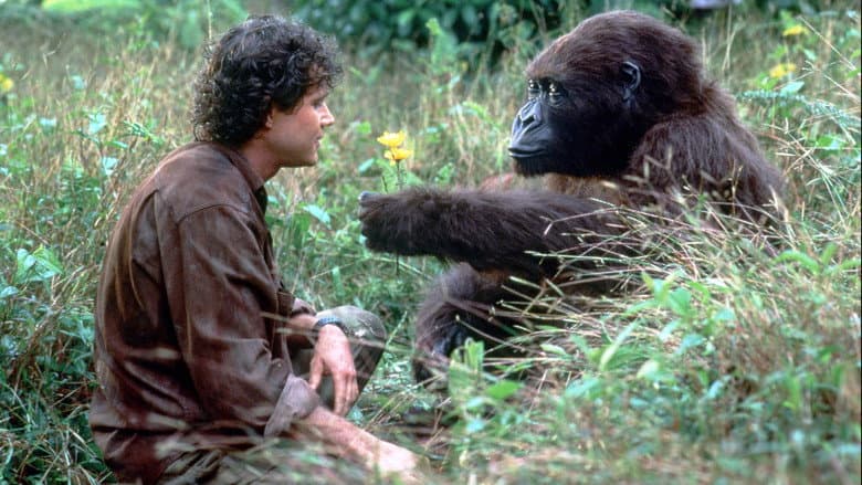 Backdrop from Congo