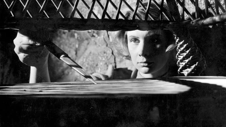 Backdrop from Prison