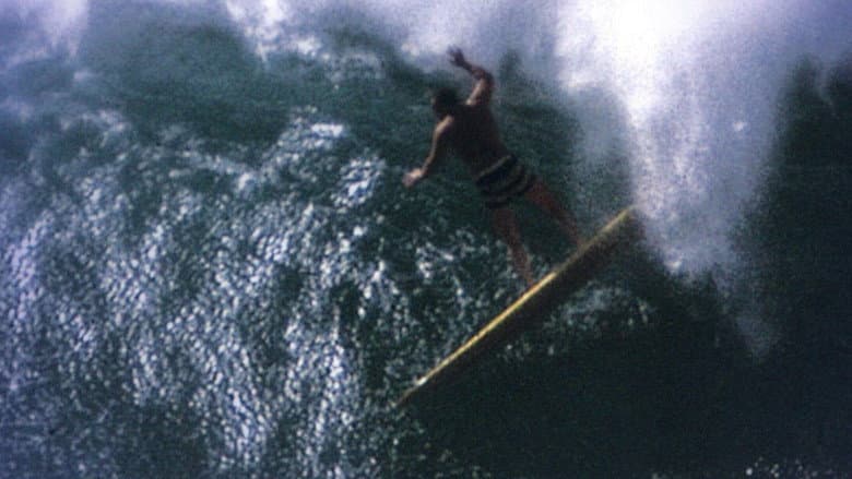 Backdrop from Water-Logged