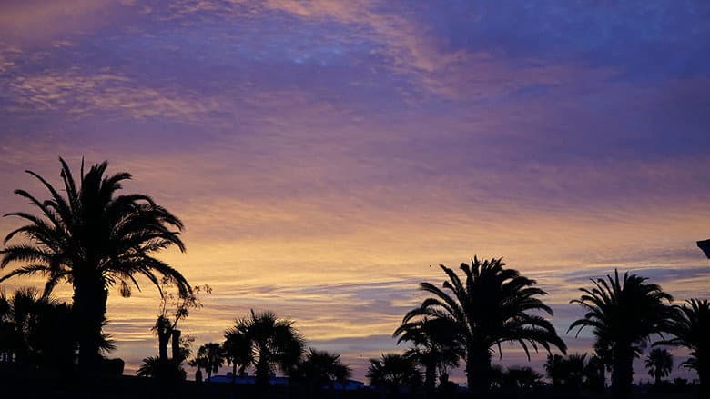 Backdrop from One Glorious Sunset