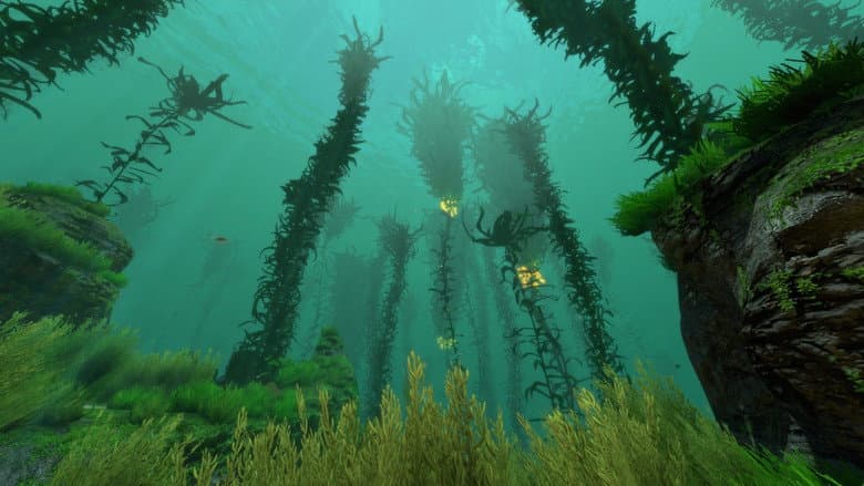 Backdrop from Kelp, une forêt sous la mer