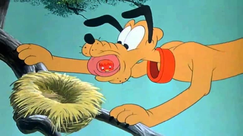 Backdrop from Pluto's Fledgling