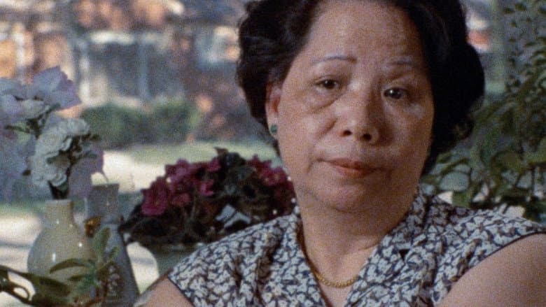 Backdrop from Who Killed Vincent Chin?