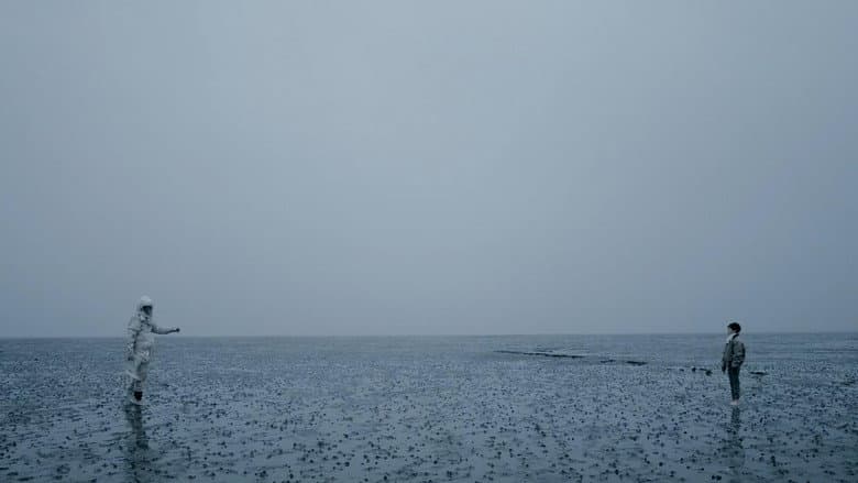 Backdrop from We Are The Tide