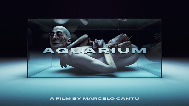 Backdrop from Aquarium