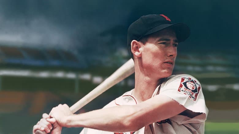 Backdrop from Ted Williams