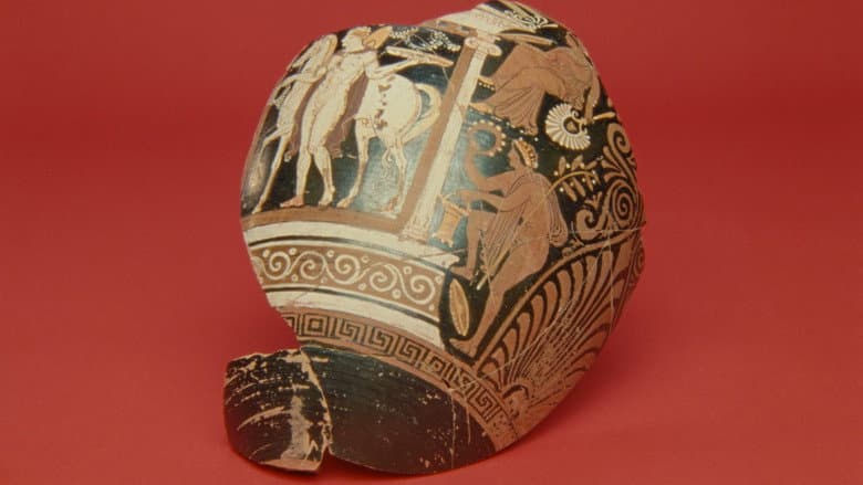 Backdrop from An Excavation