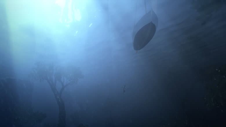 Backdrop from Flow