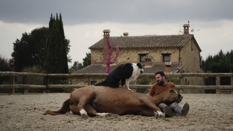 Backdrop from Hermano caballo