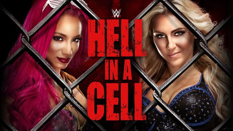 Backdrop from WWE Hell in a Cell 2016