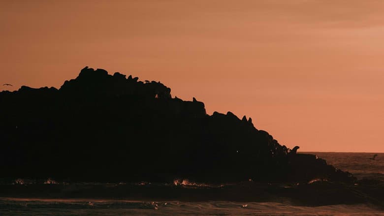 Backdrop from The Dawn of the Ancients