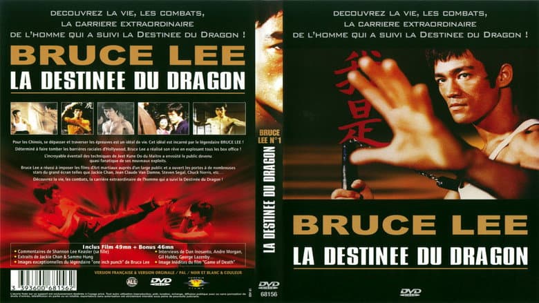 Backdrop from Bruce Lee - La Destinée du Dragon