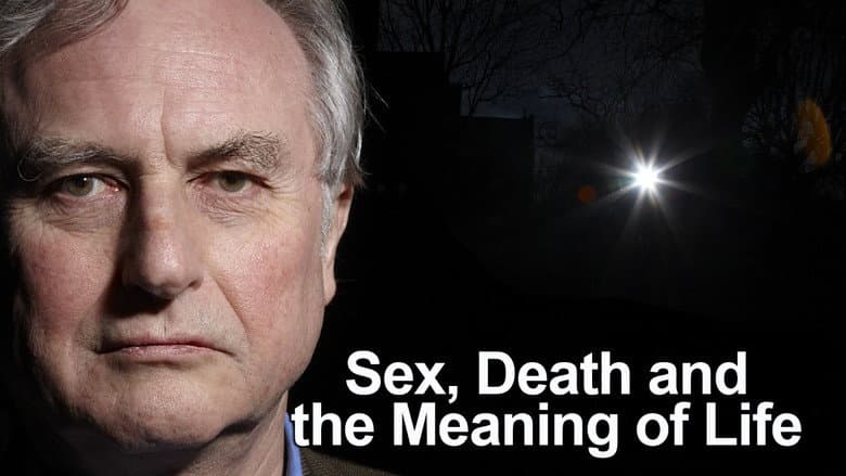 Backdrop from Sex, Death and the Meaning of Life