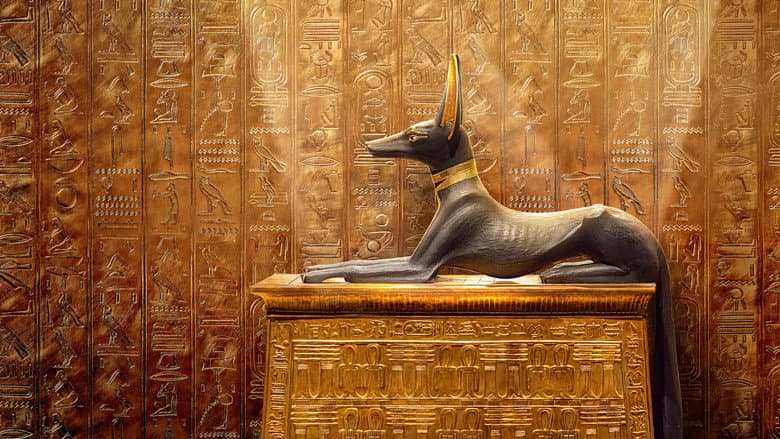 Backdrop from King Tut: A Century of Secrets