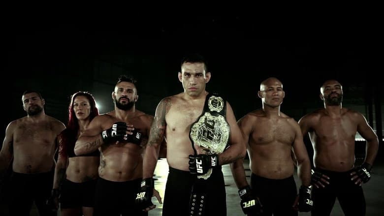 Backdrop from UFC 198: Werdum vs. Miocic