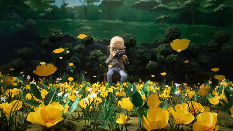 Backdrop from A Man Who Takes Pictures of Flowers
