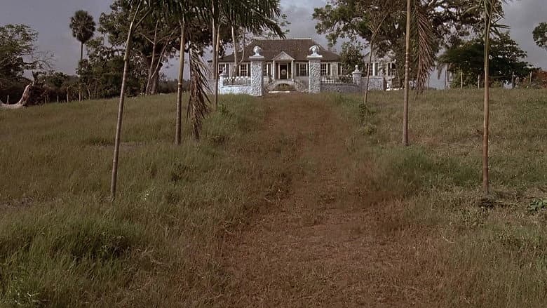 Backdrop from Wide Sargasso Sea