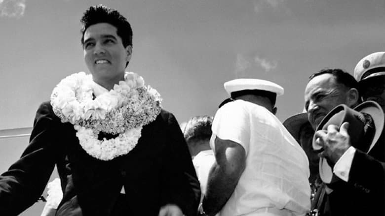 Backdrop from Elvis and the USS Arizona