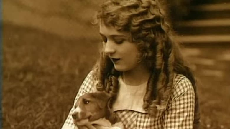 Backdrop from Mary Pickford: A Life on Film