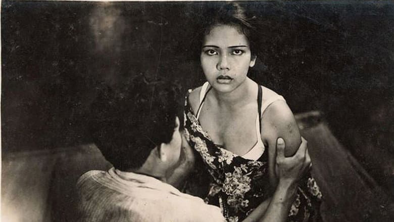 Backdrop from Siti Akbari