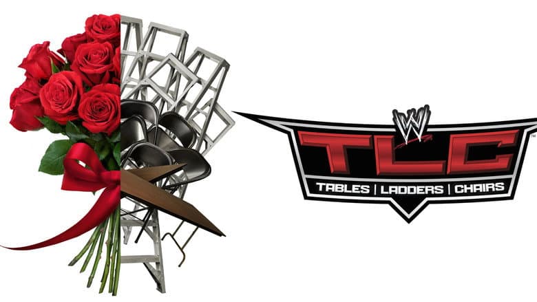 Backdrop from WWE TLC: Tables, Ladders & Chairs 2013